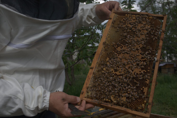 Erzurum Organik Petekli Bal- Kutu - Görsel 3