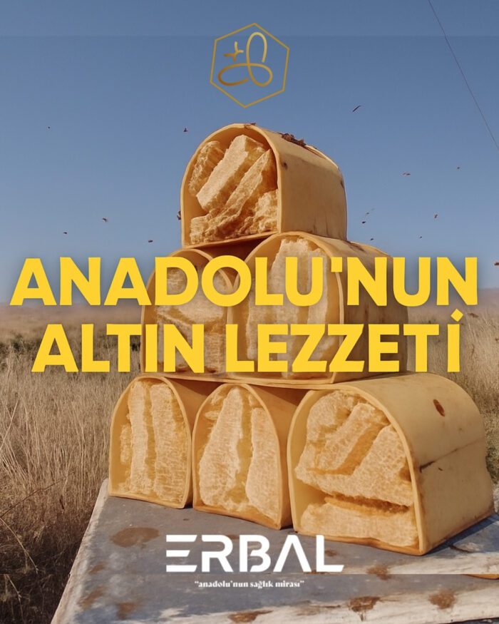 Erzurum Organik Petekli Bal- Kutu - Görsel 4