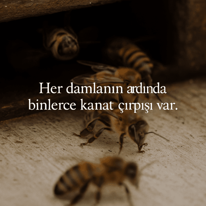 Erzurum Organik Petekli Bal- Kutu - Görsel 2