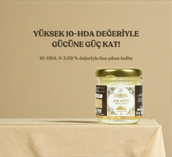 ARISÜTÜ2