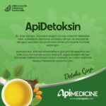 APİDETOKSİN