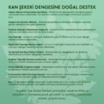 Ekran görüntüsü 2026-03-28 152340