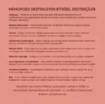 Ekran görüntüsü 2026-03-28 152451