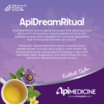 apidreamritual